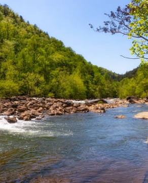 Experience White Water Rafting on the Ocoee