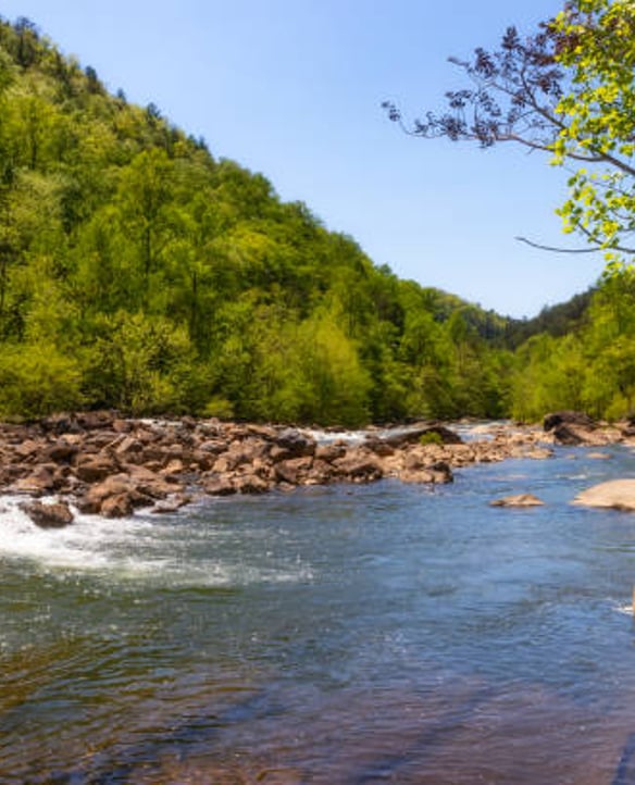 Experience White Water Rafting on the Ocoee