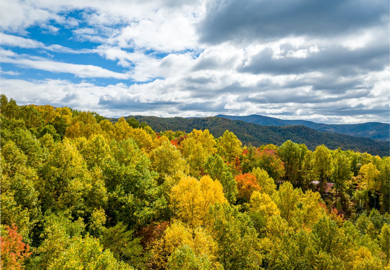 Cabin in Blue Ridge - Laurel Mountain Chalet