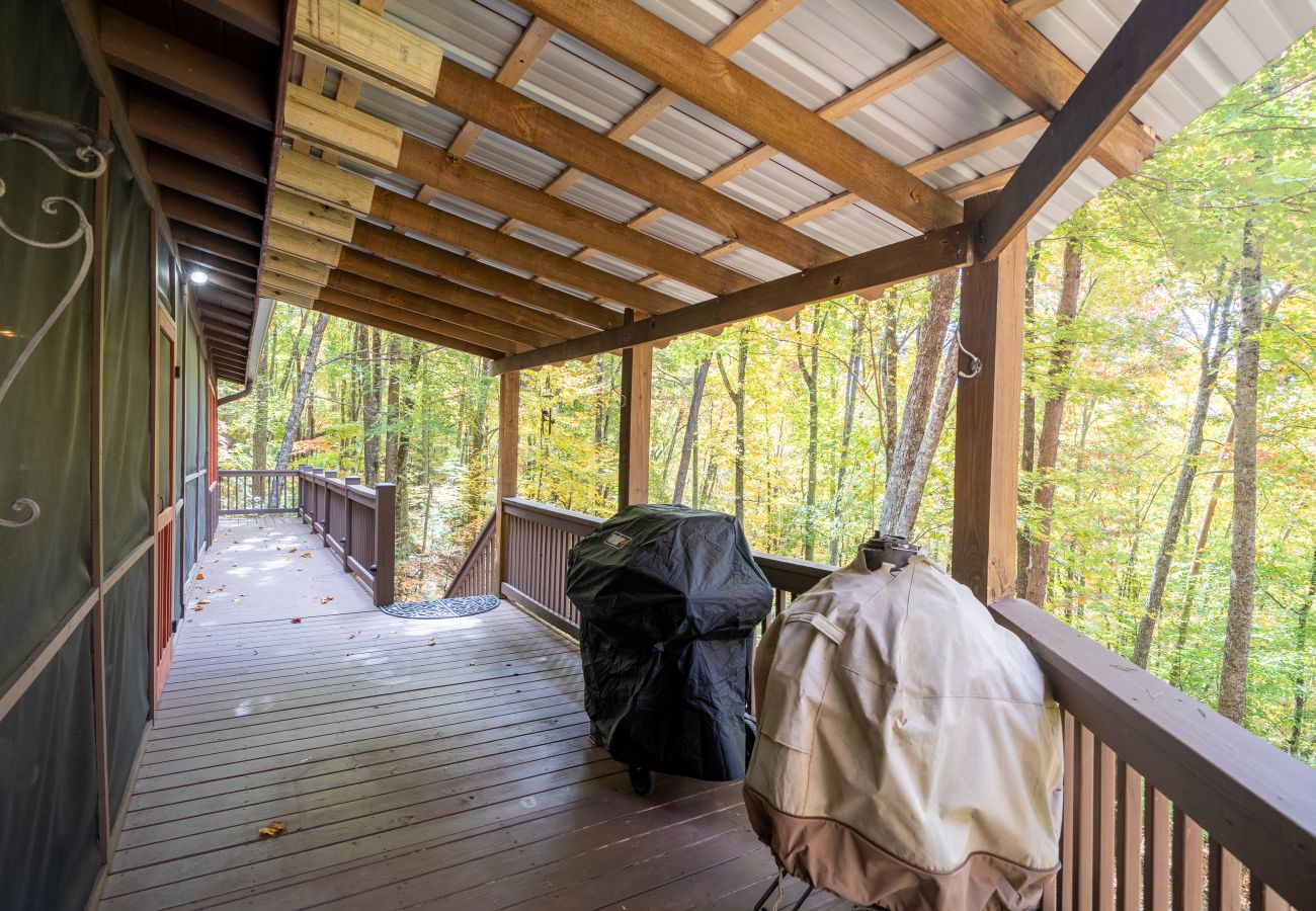 Cabin in Blue Ridge - Laurel Mountain Chalet