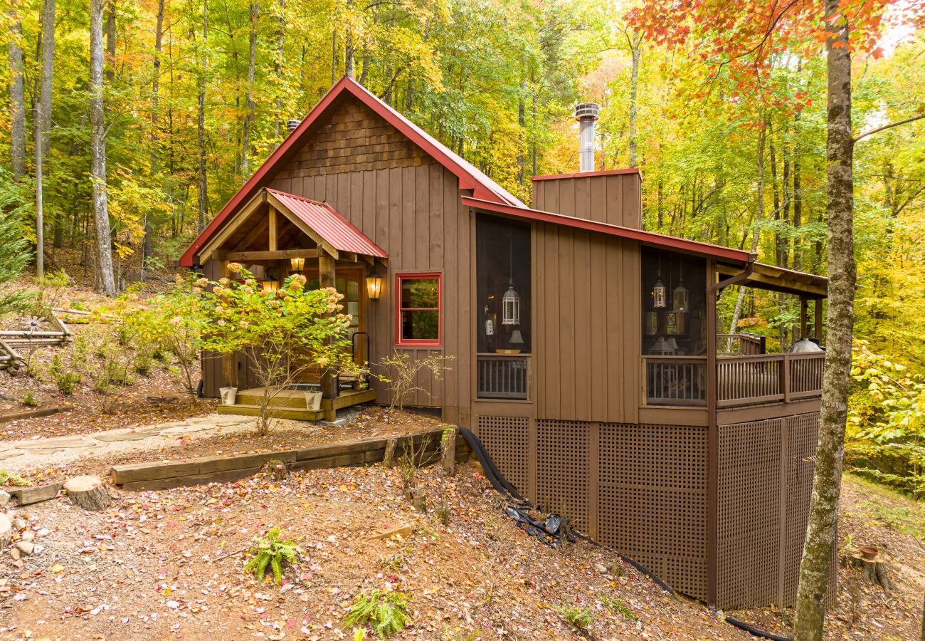 Cabin in Blue Ridge - Laurel Mountain Chalet