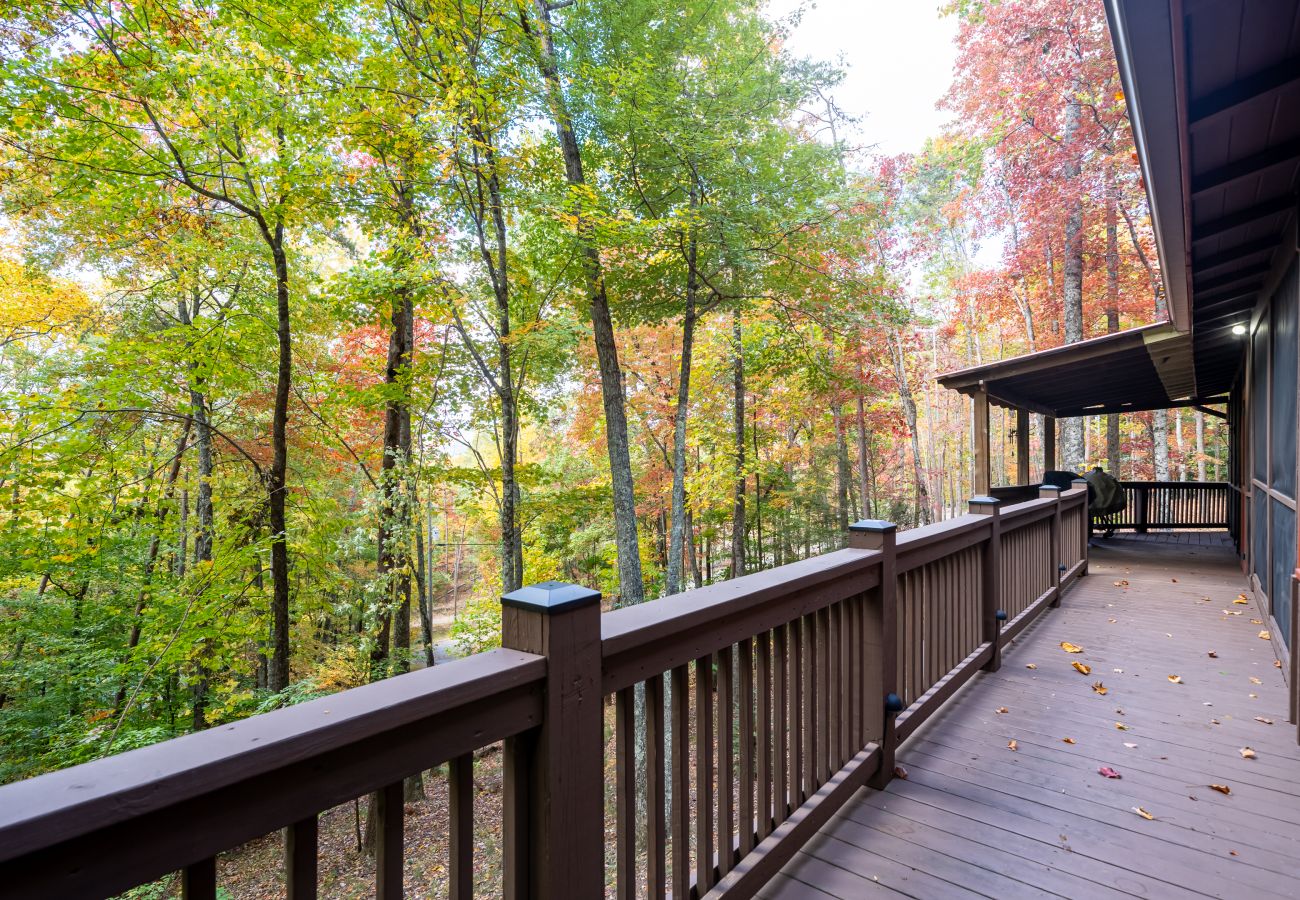 Cabin in Blue Ridge - Laurel Mountain Chalet