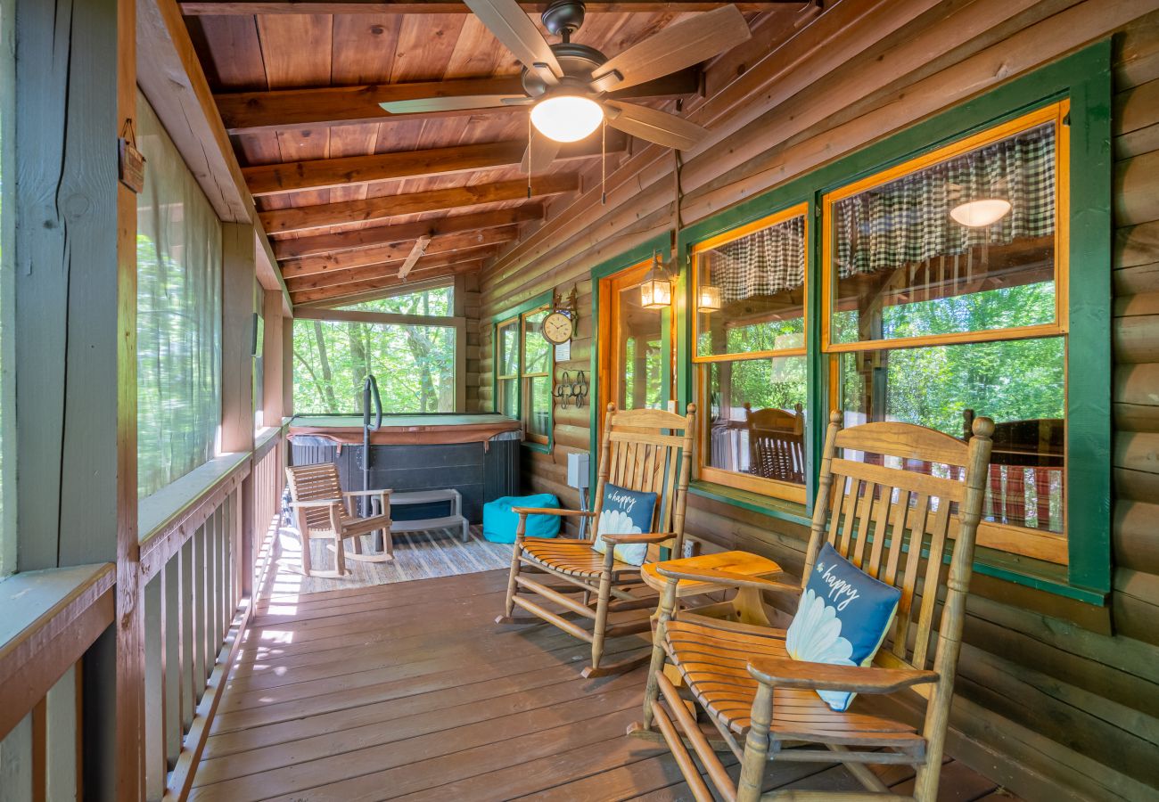 Cabin in Cherry Log - Mountain Time