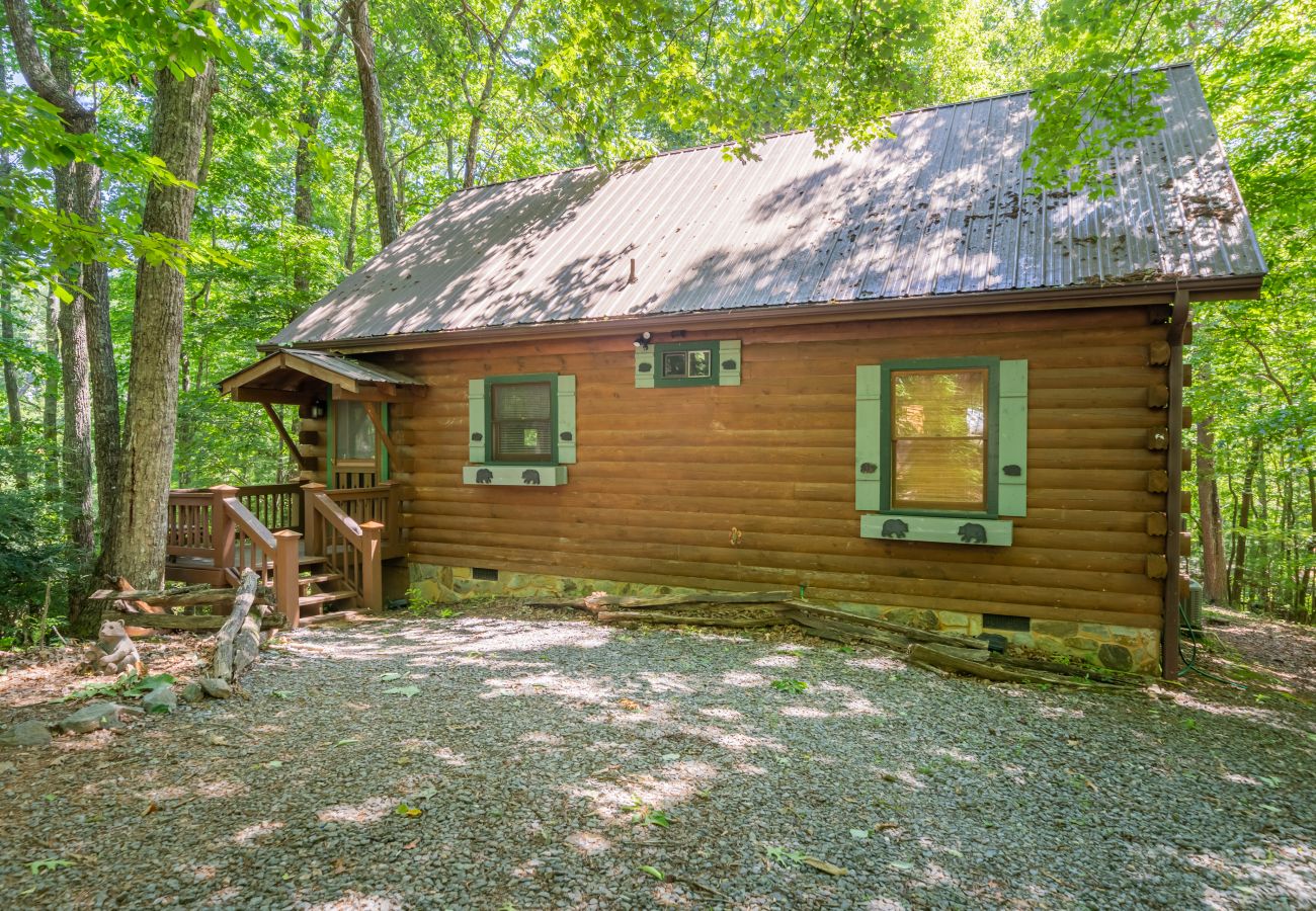 Cabin in Cherry Log - Mountain Time