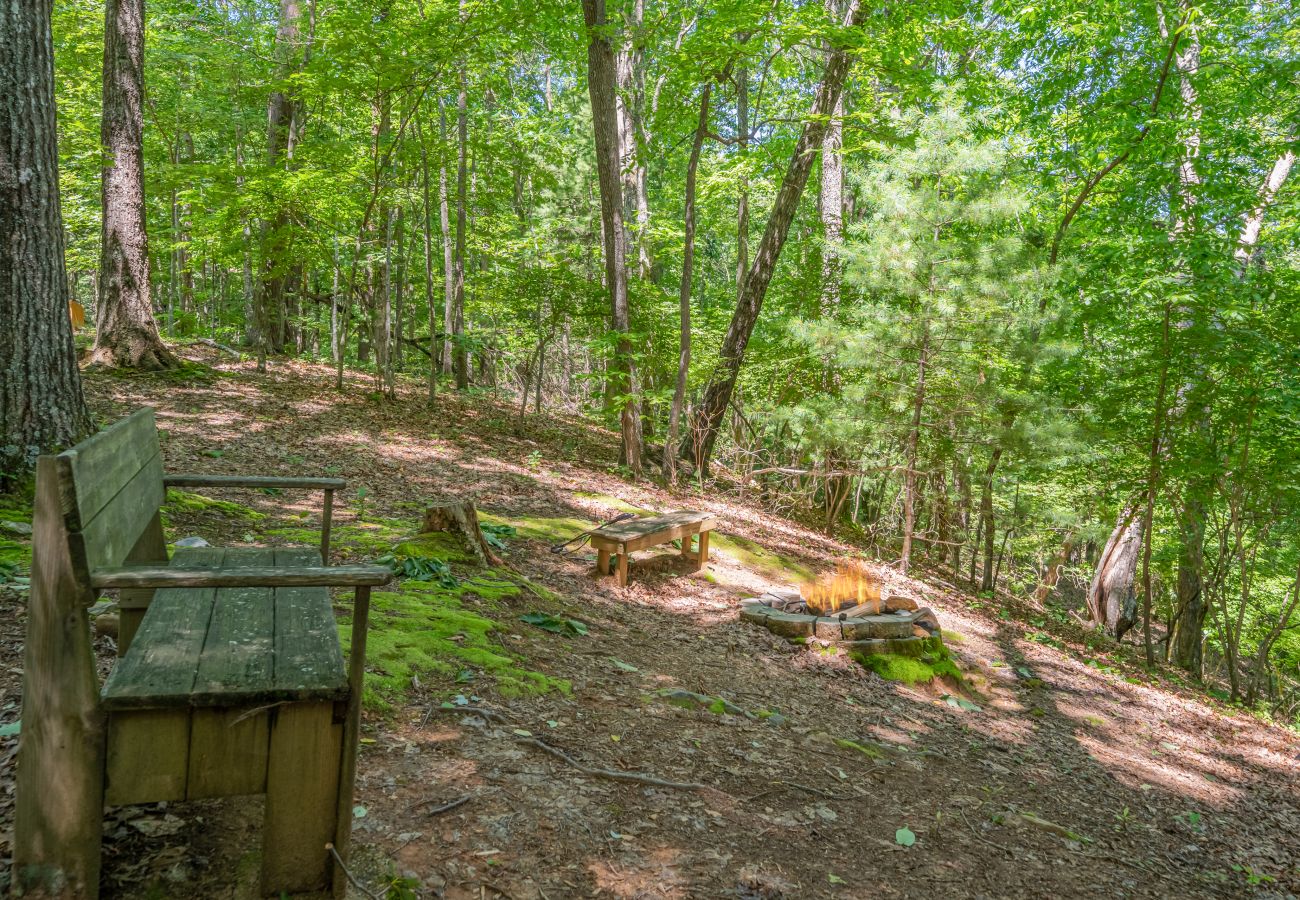 Cabin in Cherry Log - Mountain Time