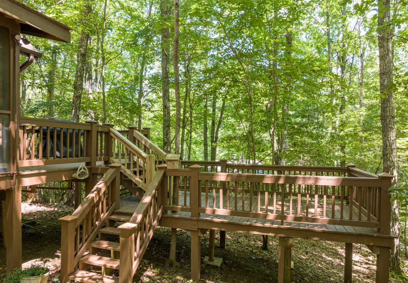 Cabin in Cherry Log - Mountain Time