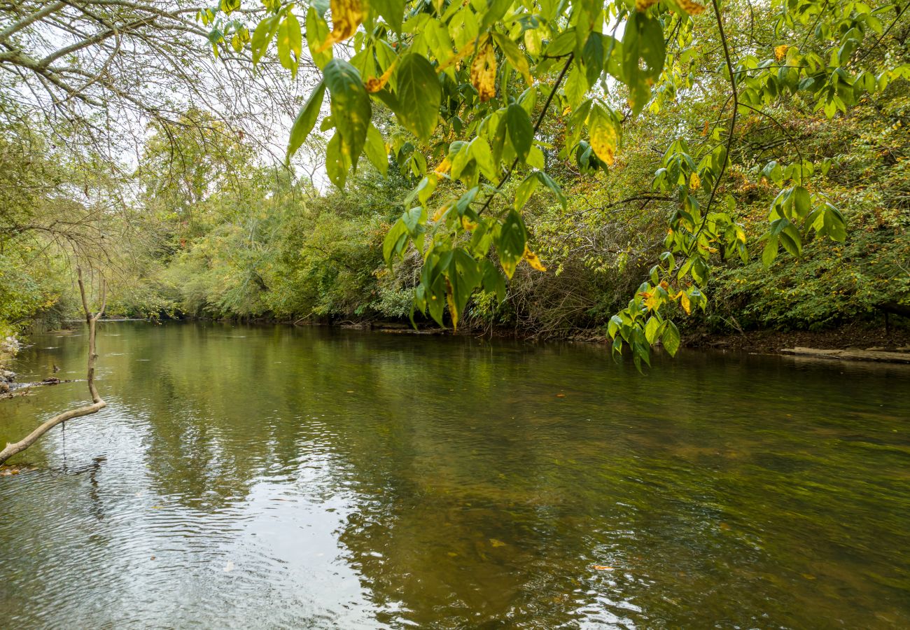 Cabin in Ellijay - Life At The River - Pet Friendly -Hot Tub- Fishing