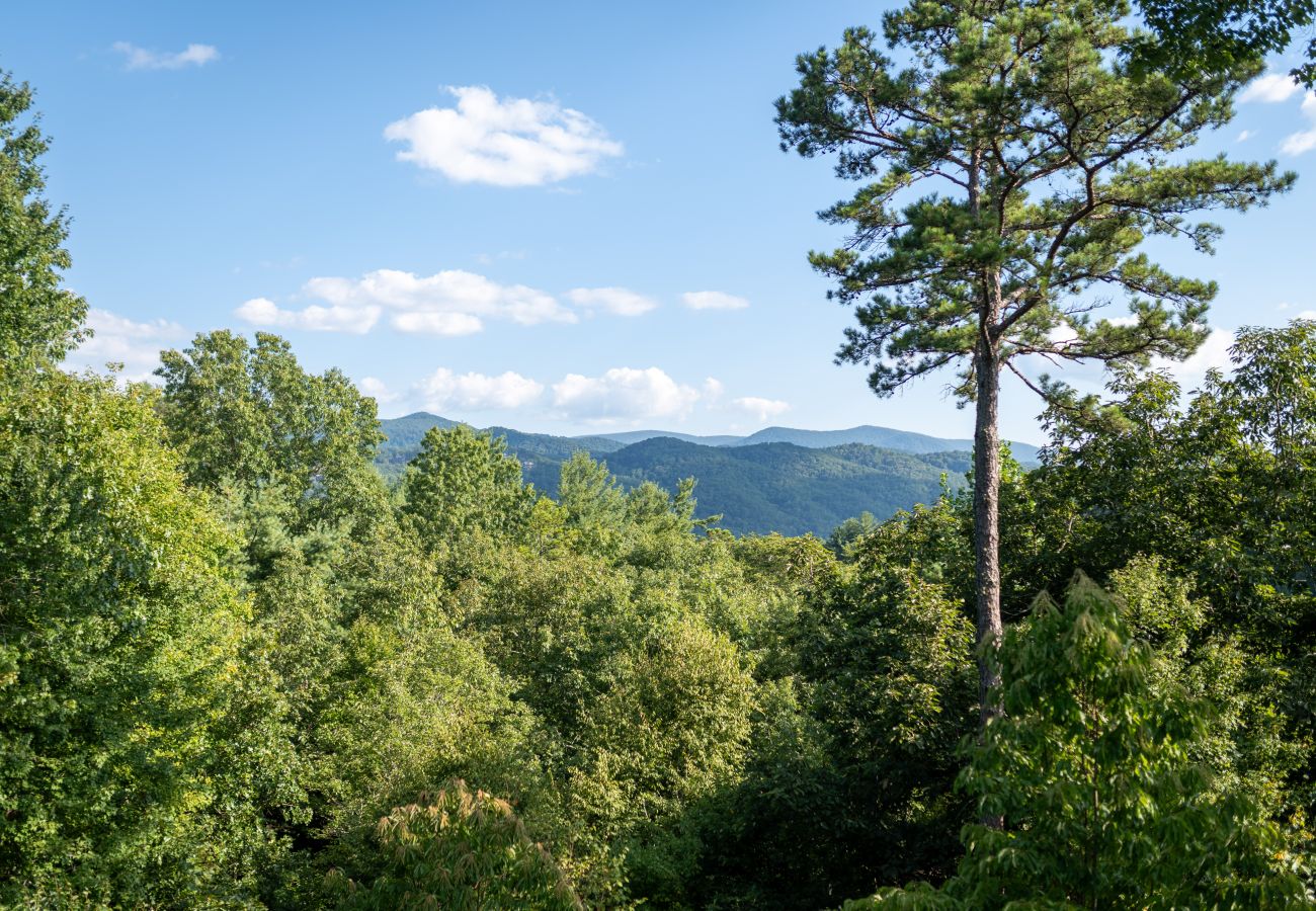 Cabin in Blue Ridge - Peak of Perfection - Next to Heaven