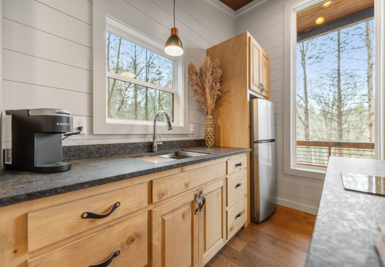 House in Blue Ridge - Hemlock Hollow: Luxury Tiny Home, Hot Tub