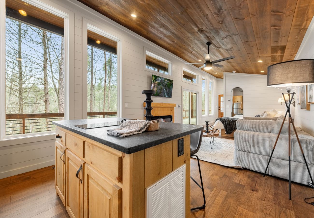 House in Blue Ridge - Hemlock Hollow: Luxury Tiny Home, Hot Tub