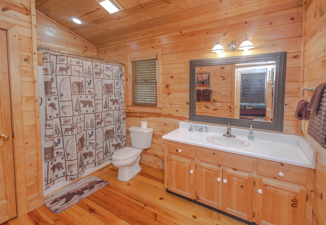 Cabin in Blue Ridge - Aska Black Bear Lodge