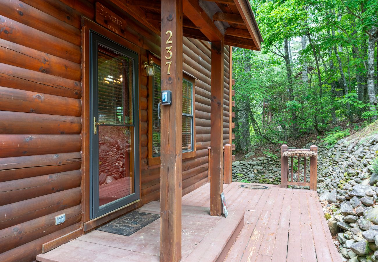 Cabin in Blue Ridge - Stargazers Perch