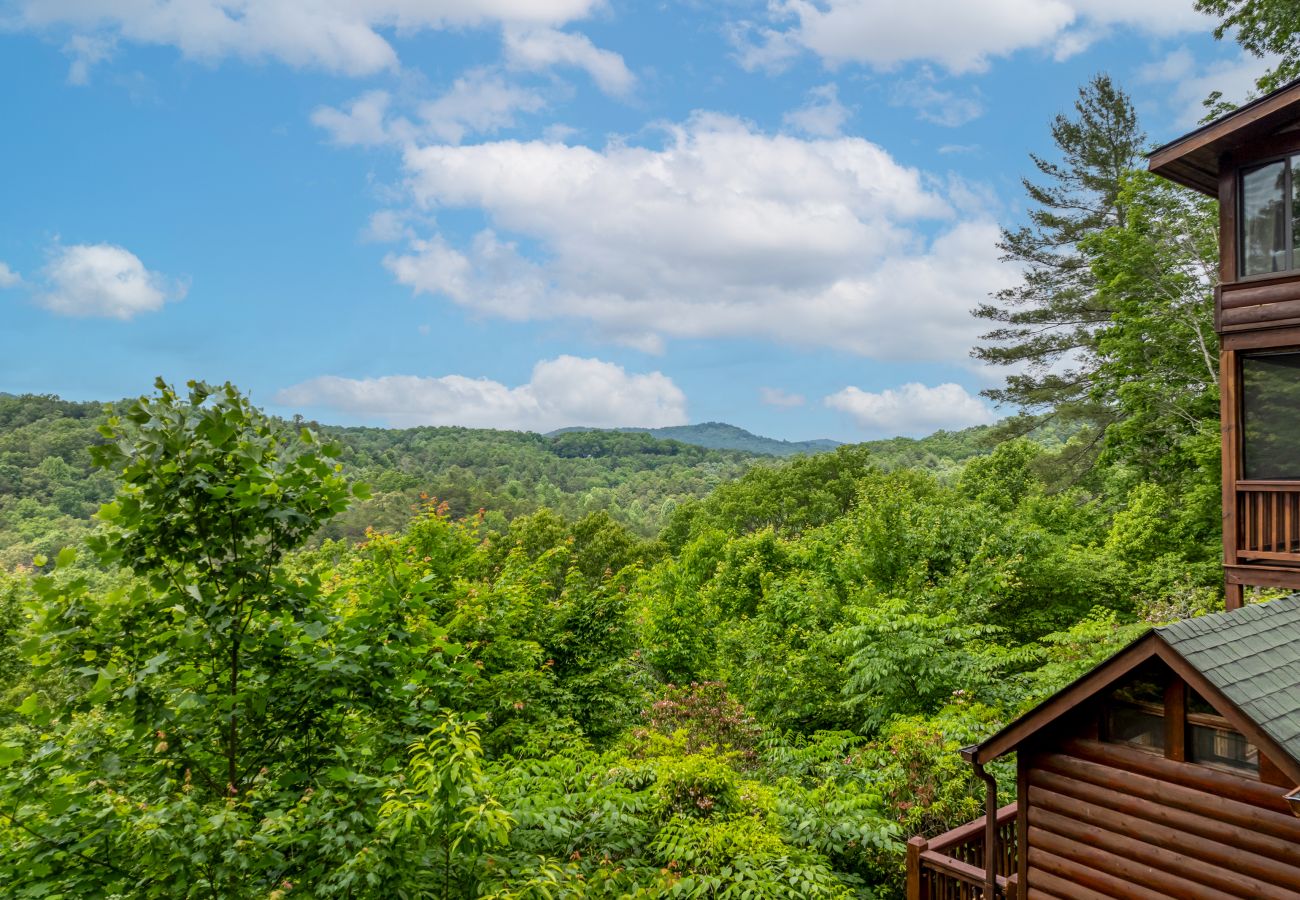 Cabin in Blue Ridge - Stargazers Perch