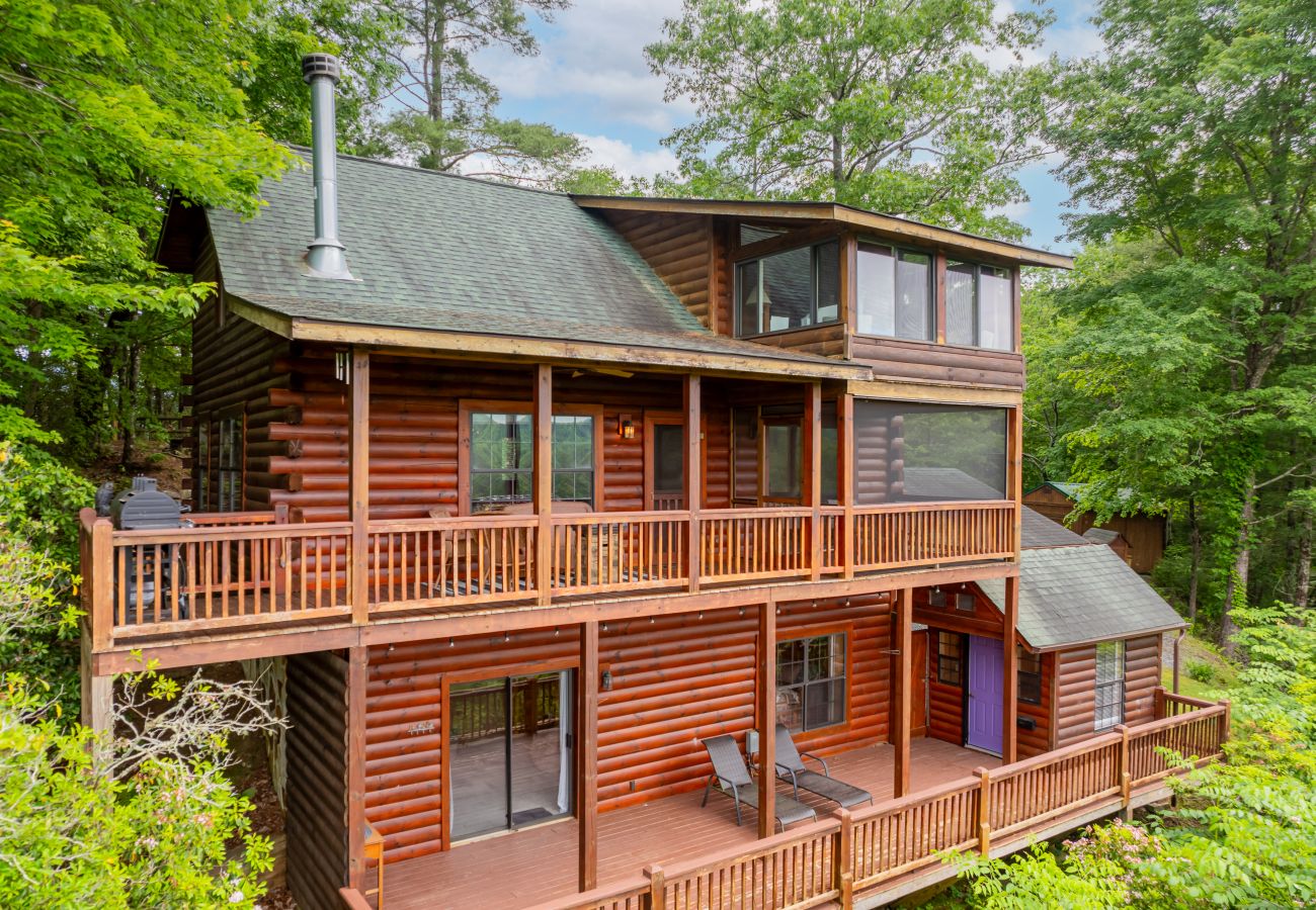 Cabin in Blue Ridge - Stargazers Perch