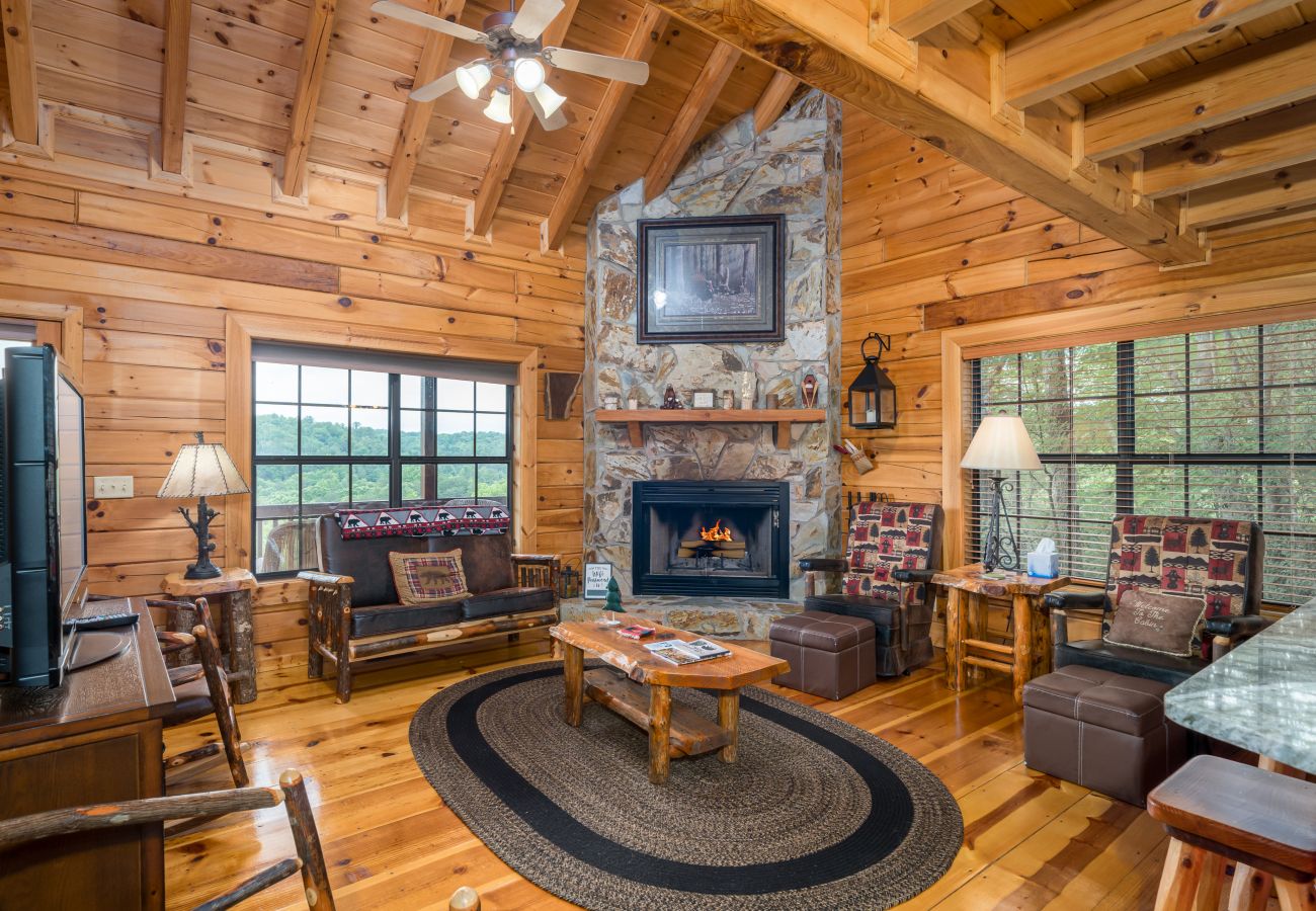 Cabin in Blue Ridge - Stargazers Perch