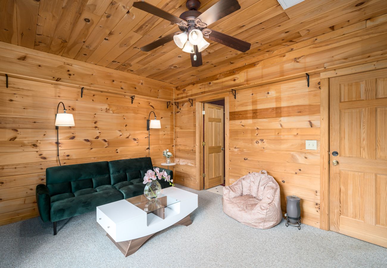 Cabin in Blue Ridge - Stargazers Perch