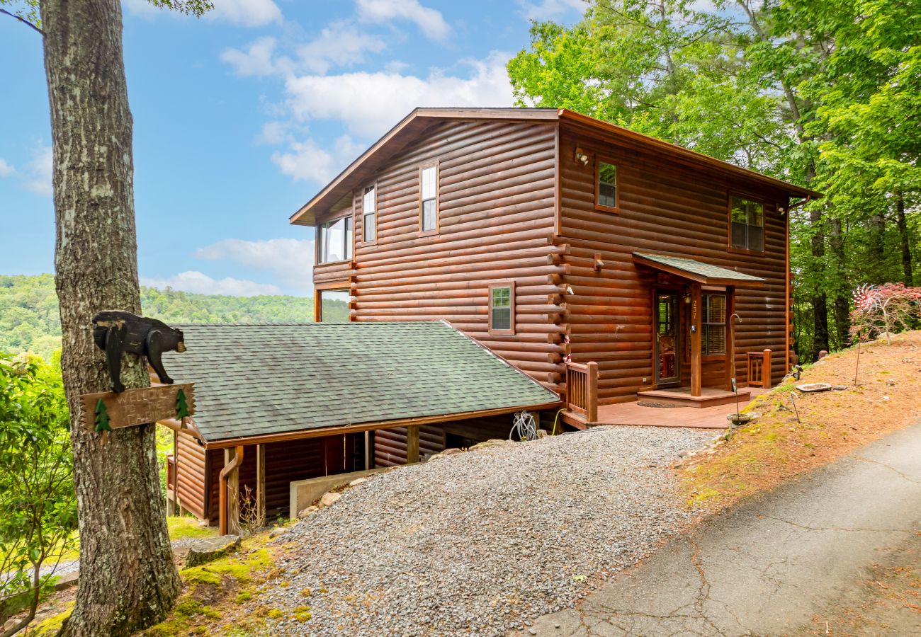 Cabin in Blue Ridge - Stargazers Perch