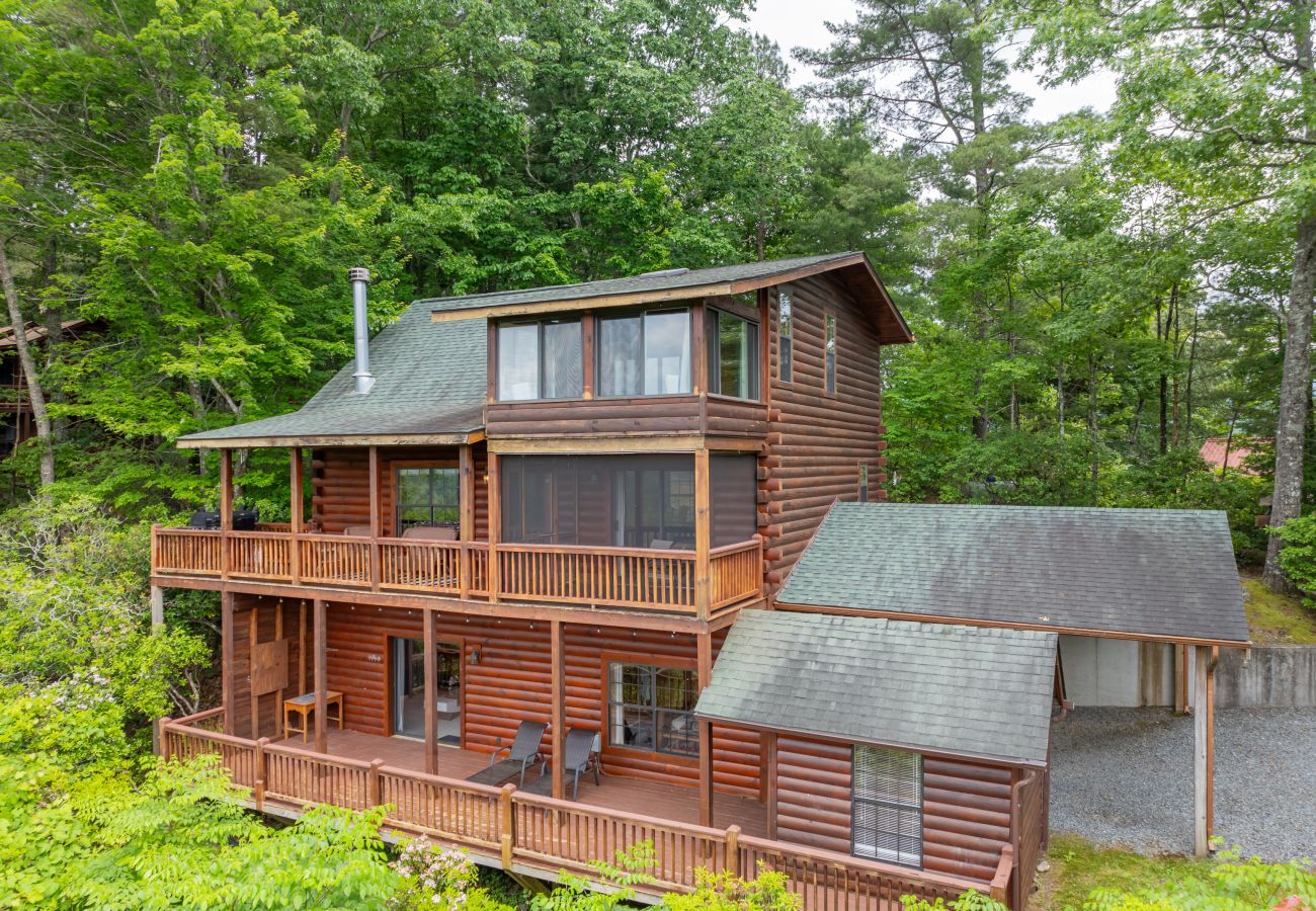 Cabin in Blue Ridge - Stargazers Perch