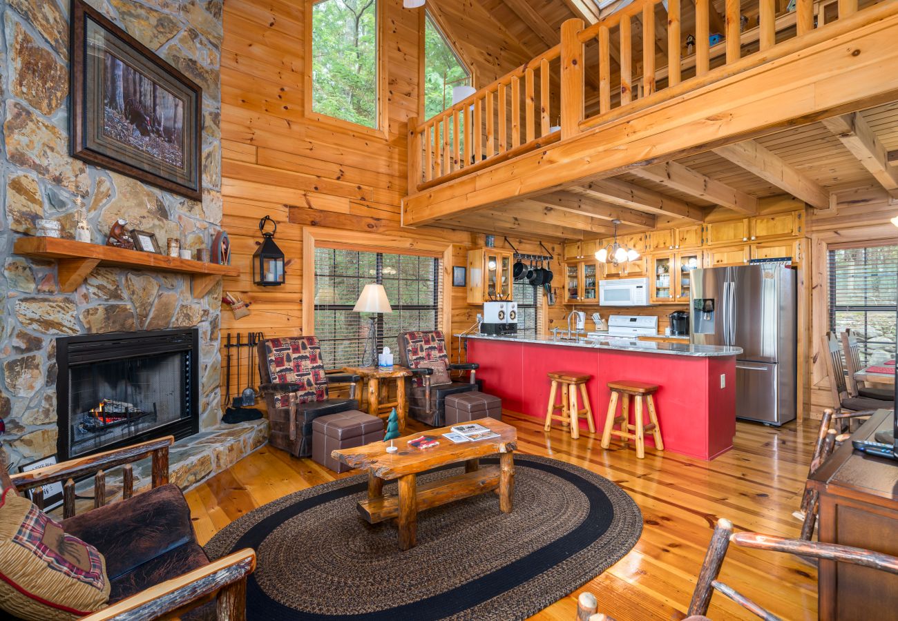 Cabin in Blue Ridge - Stargazers Perch