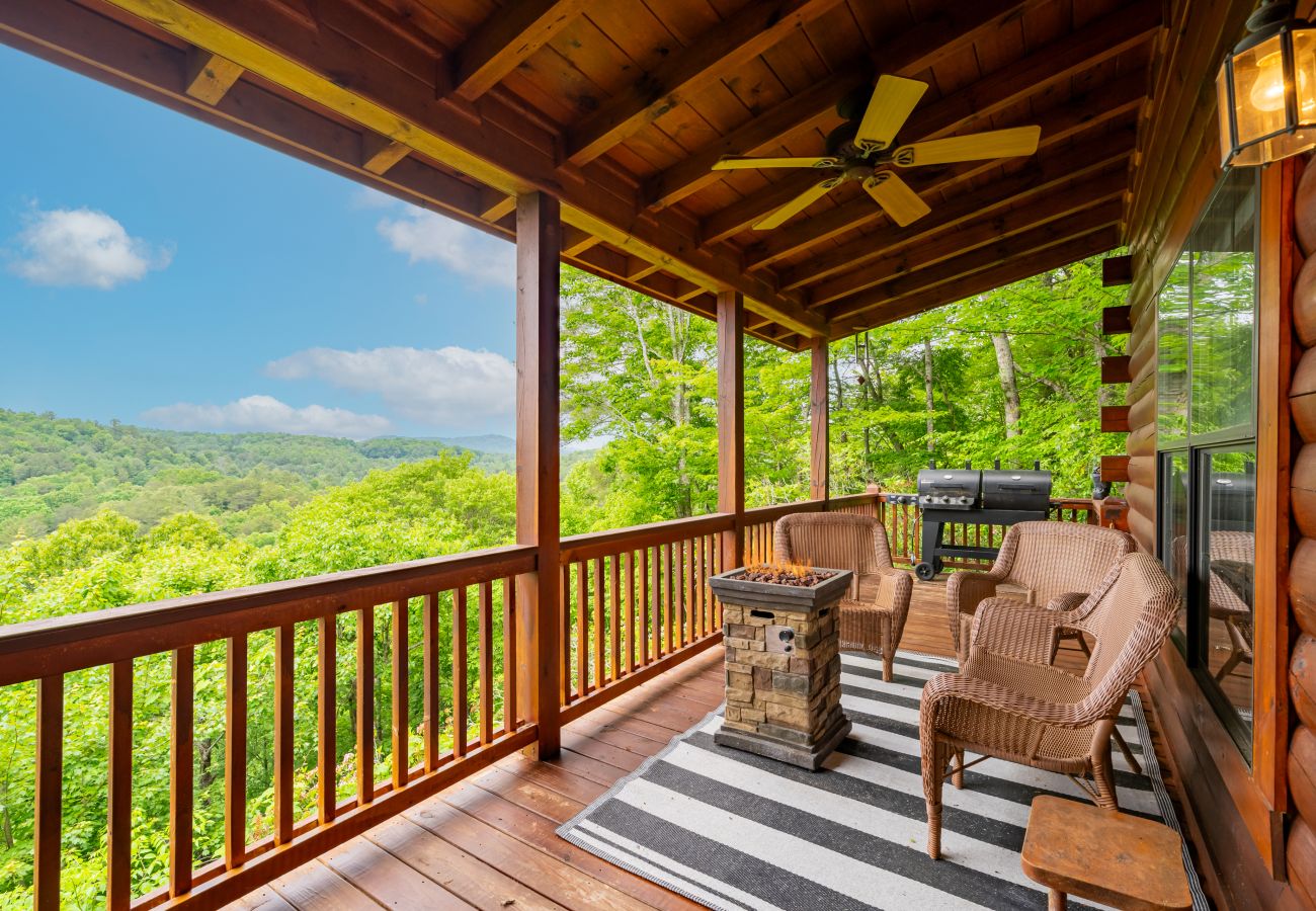 Cabin in Blue Ridge - Stargazers Perch