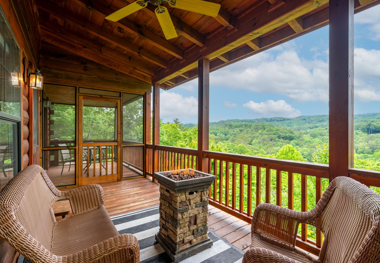 Cabin in Blue Ridge - Stargazers Perch