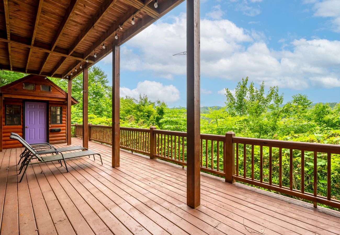 Cabin in Blue Ridge - Stargazers Perch