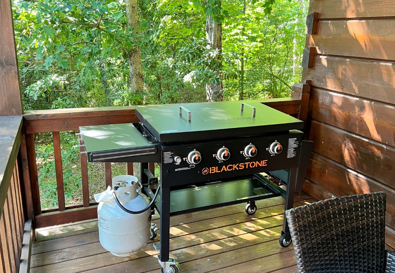 Cabin in Blue Ridge - Peaceful ASKA