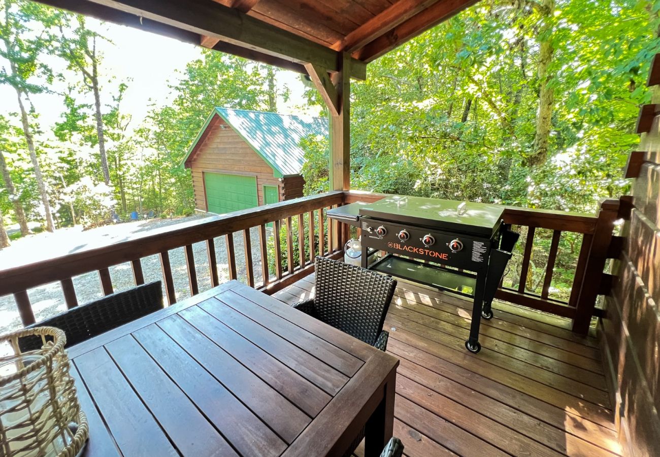 Cabin in Blue Ridge - Peaceful ASKA