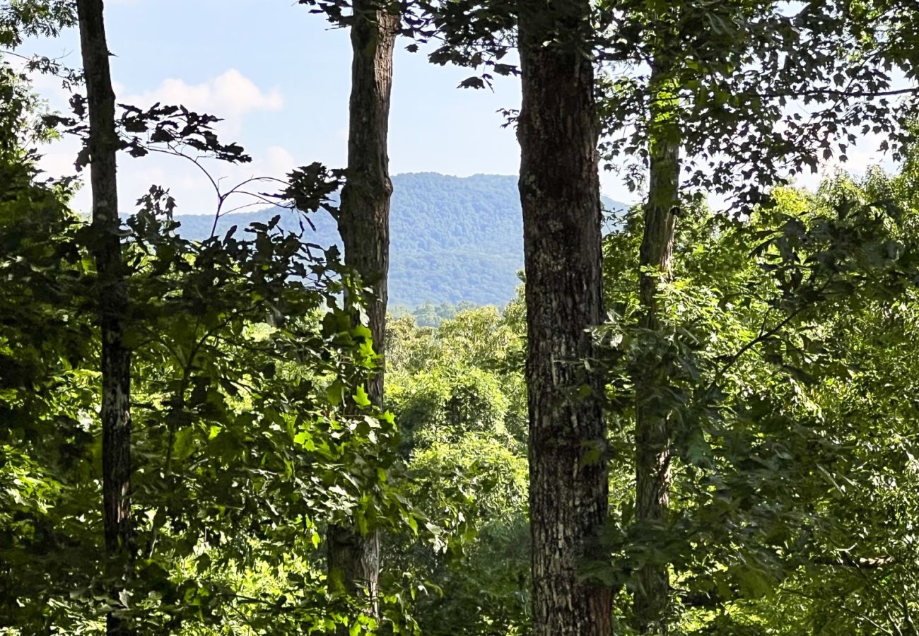 Cabin in Blue Ridge - Peaceful ASKA