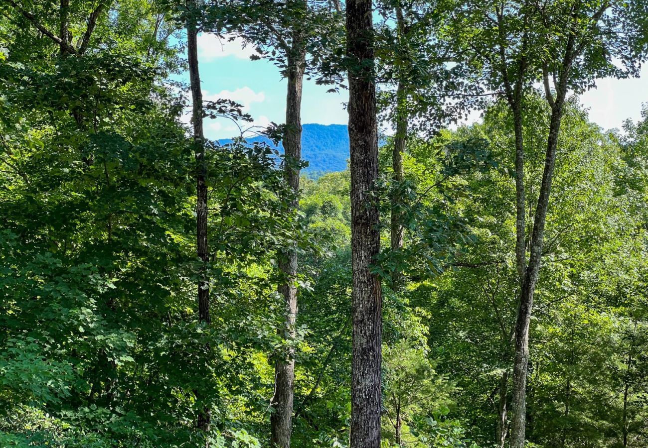 Cabin in Blue Ridge - Peaceful ASKA