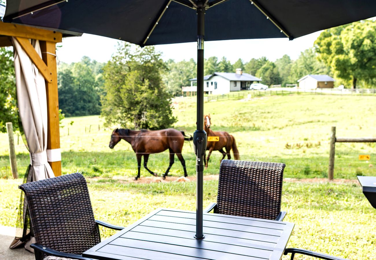 Cabin in Blue Ridge - Equestrian Escape Bungalow