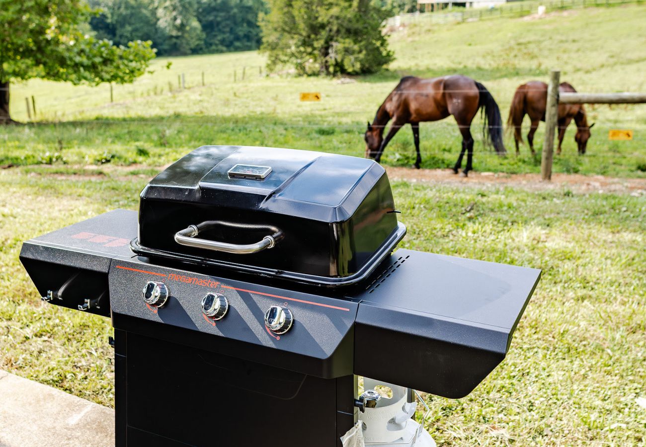 Cabin in Blue Ridge - Equestrian Escape Bungalow