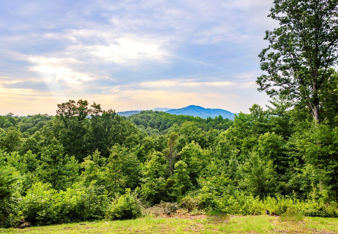 Cabin in Blue Ridge - Love Shack