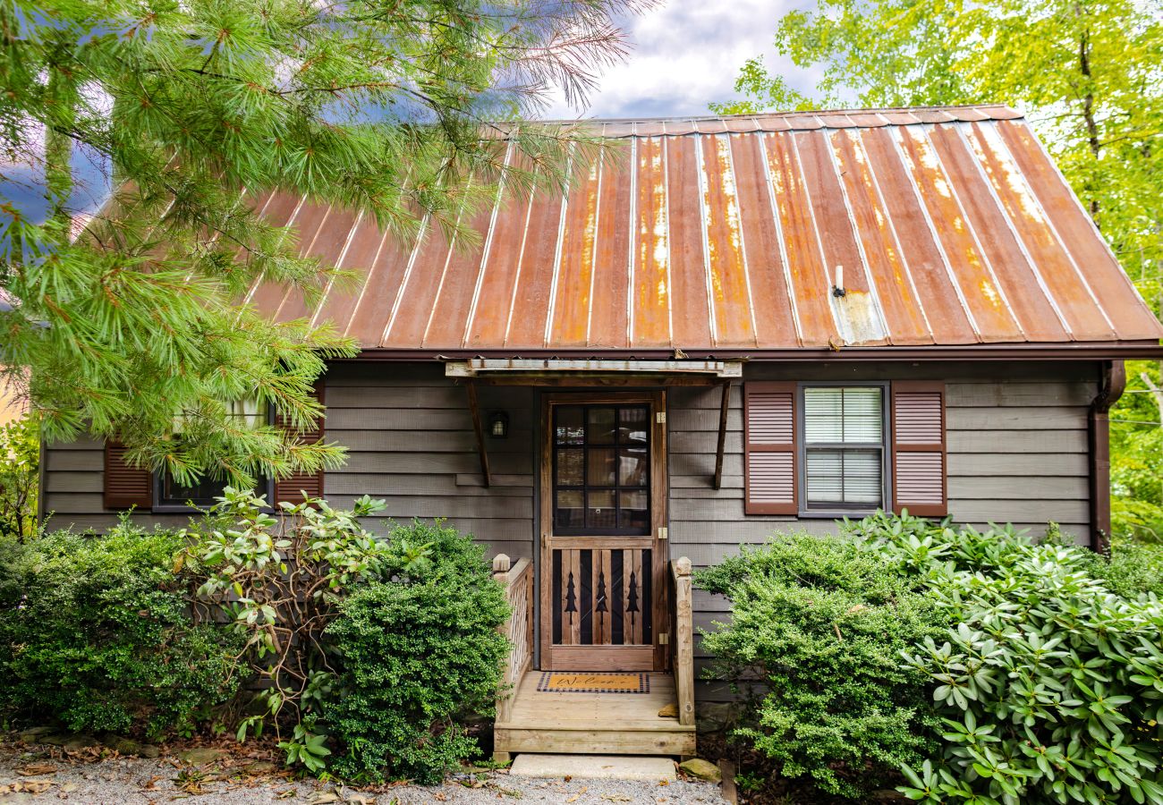 Cabin in Blue Ridge - Love Shack