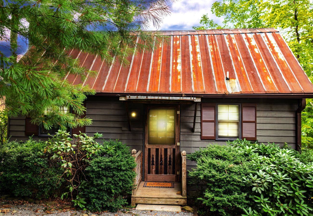 Cabin in Blue Ridge - Love Shack