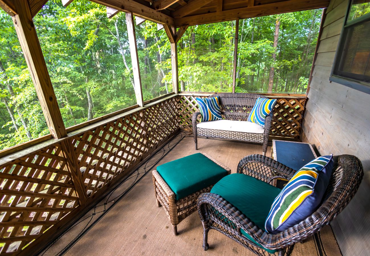 Cabin in Blue Ridge - Love Shack