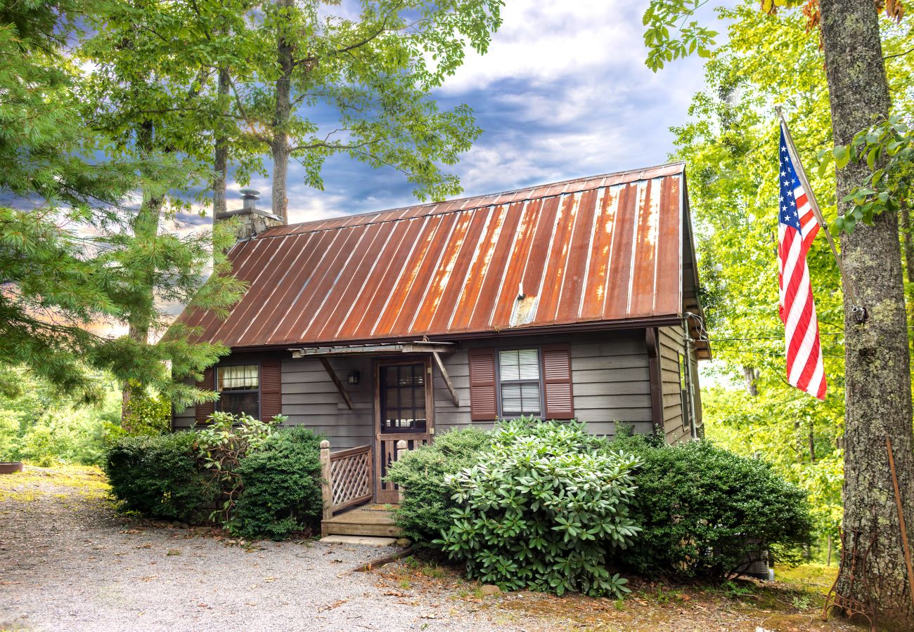 Cabin in Blue Ridge - Love Shack